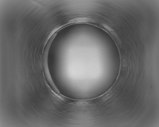 X0000051261473200507011705