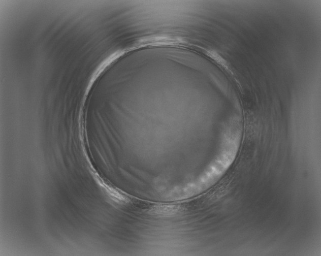 X0000051261474200507011705