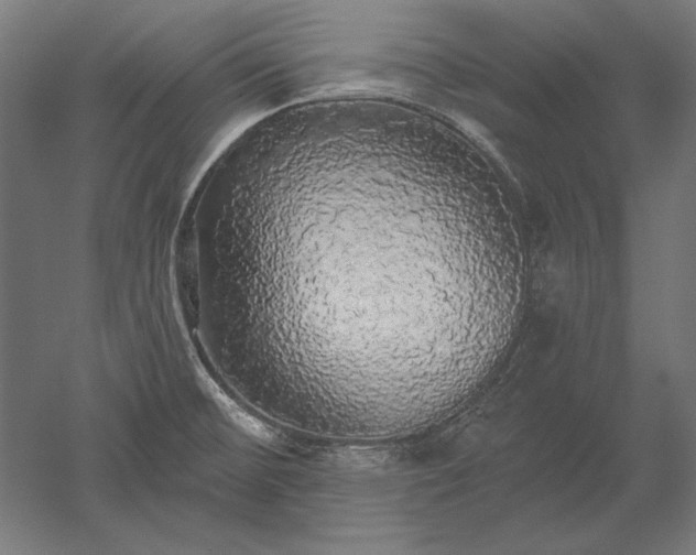X0000051261476200507011705