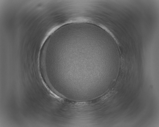 X0000051261477200507011705