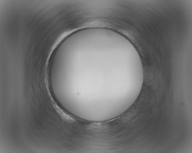 X0000051261478200507011705