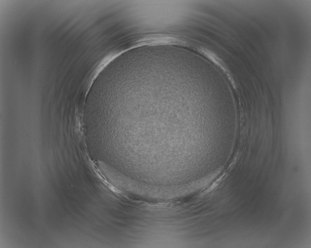 X0000051261481200507011705