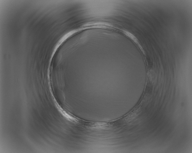 X0000051261482200507011705