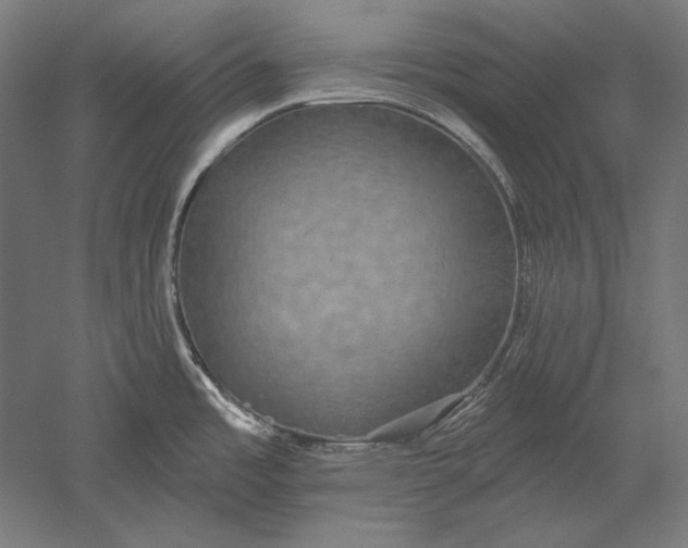 X0000051261485200507011705