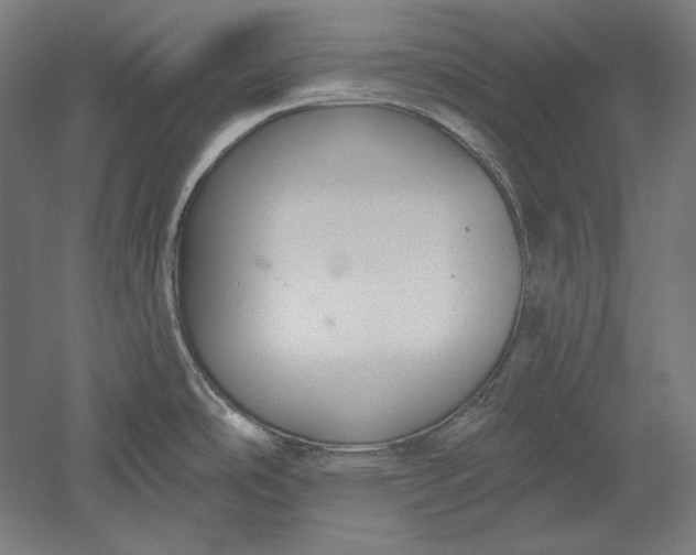 X0000051261486200507011705
