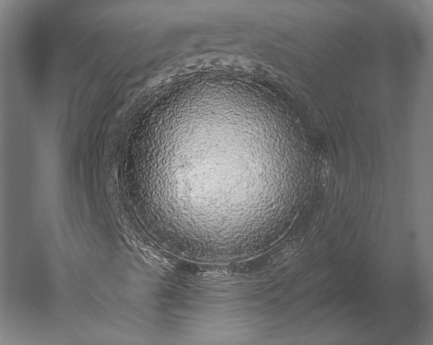 X0000051261489200507011704
