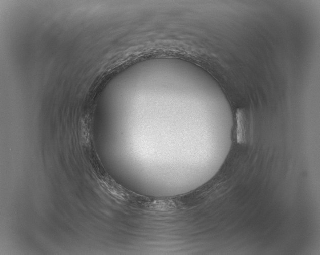 X0000051261491200507011704