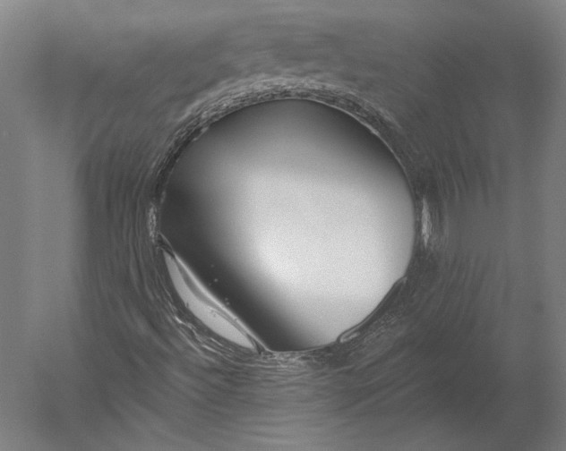 X0000051261492200507011704