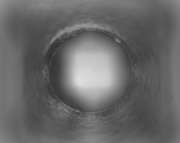 X0000051261495200507011704