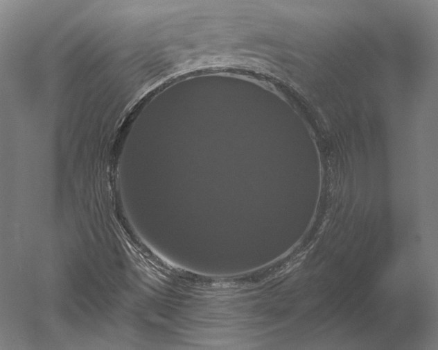 X0000051261497200507011705