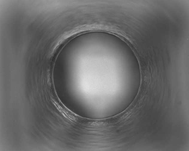 X0000051261499200507011705