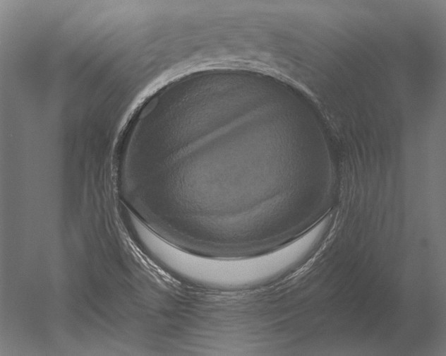 X0000051261506200507011705