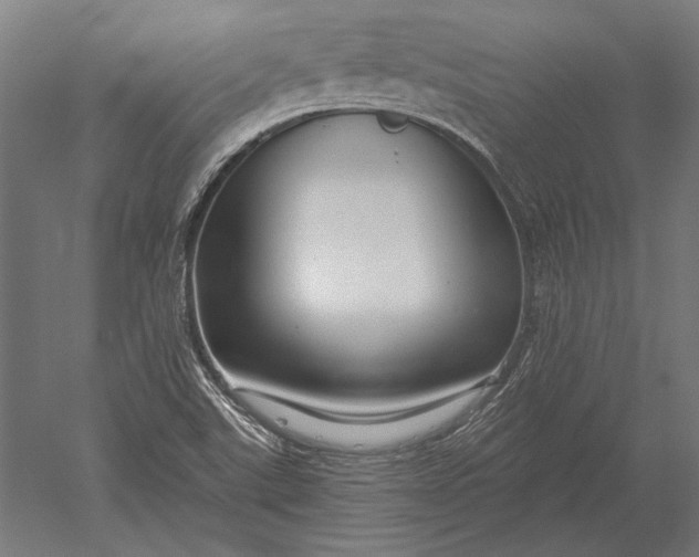 X0000051261507200507011705