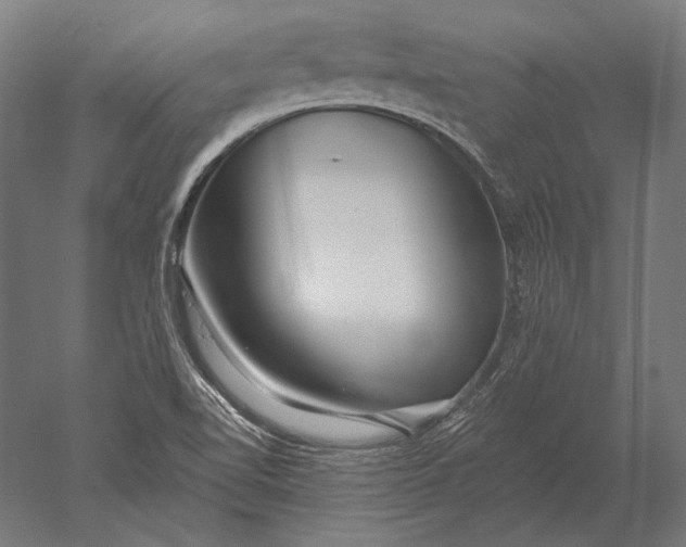 X0000051261510200507011705