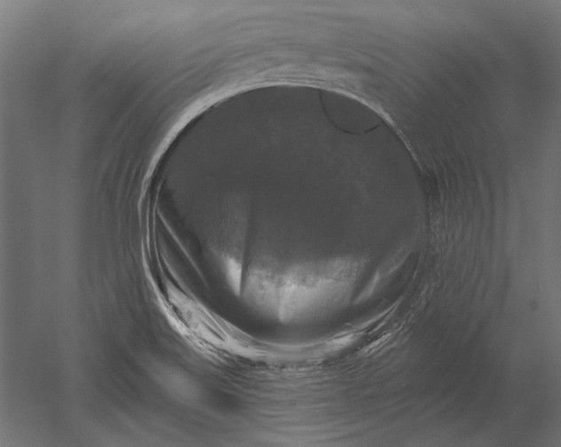 X0000051261515200507011705