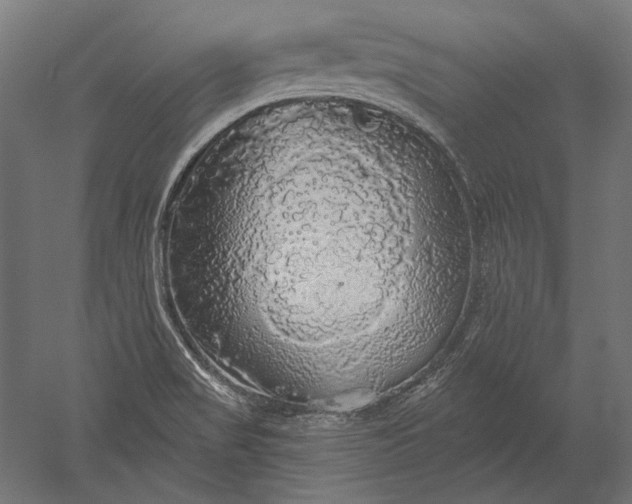 X0000051261517200507011705