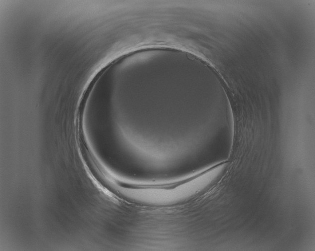 X0000051261519200507011705