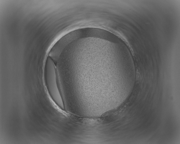 X0000051261528200507011705