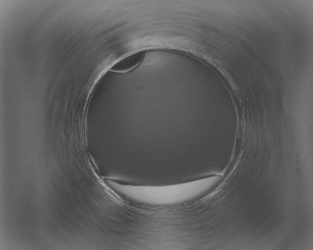 X0000051261529200507011705
