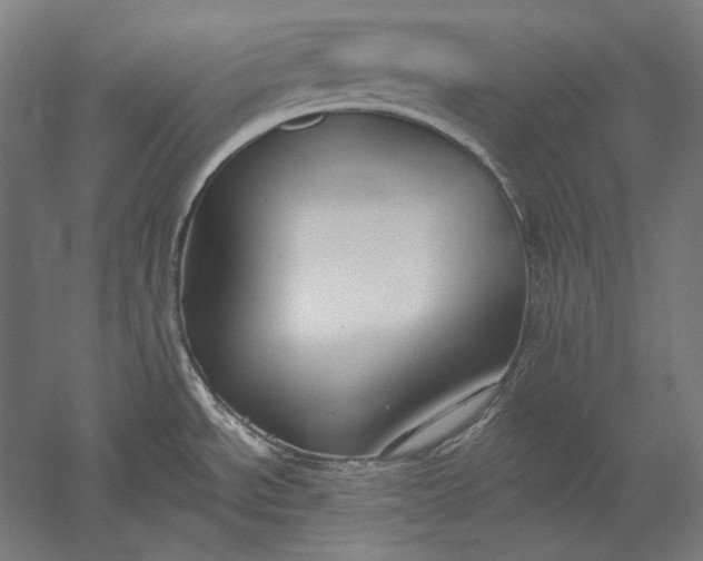 X0000051261534200507011705