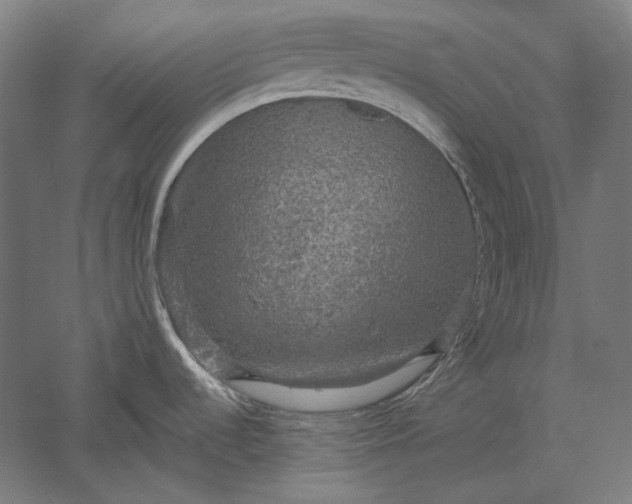 X0000051261536200507011705