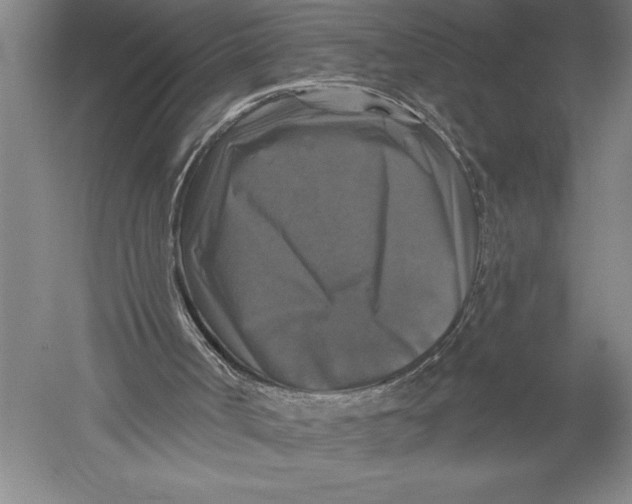 X0000051260002200507082229