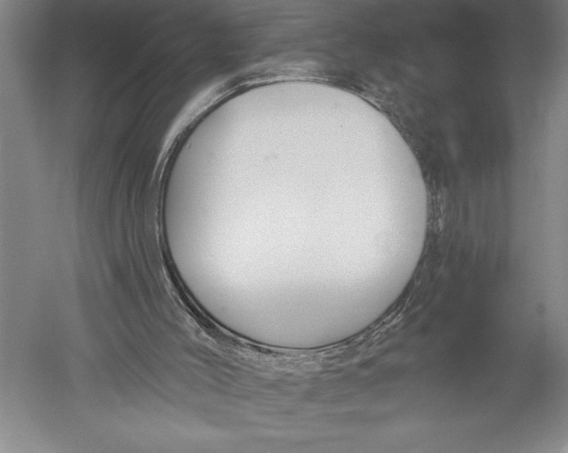 X0000051260004200507082229