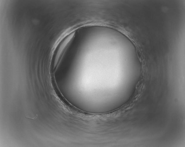 X0000051260007200507082229