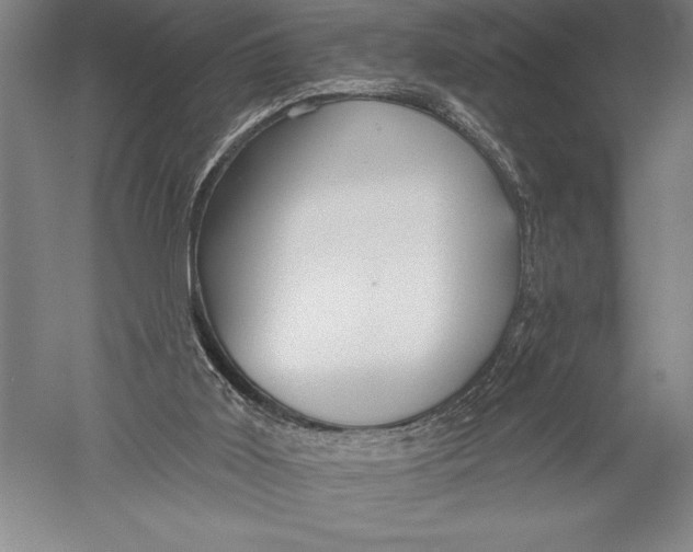 X0000051260011200507082229