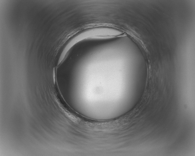X0000051260013200507082229