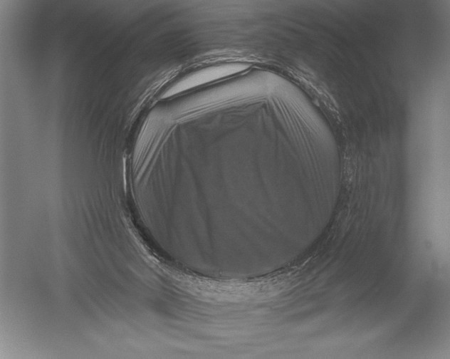 X0000051260014200507082229