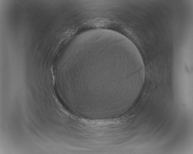 X0000051260018200507082229