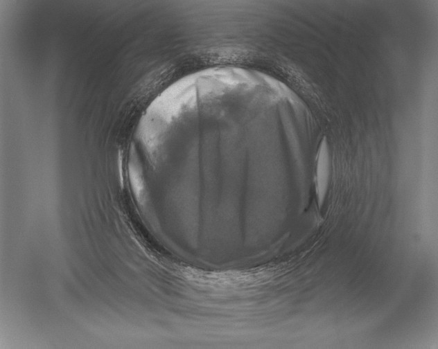X0000051260022200507082229