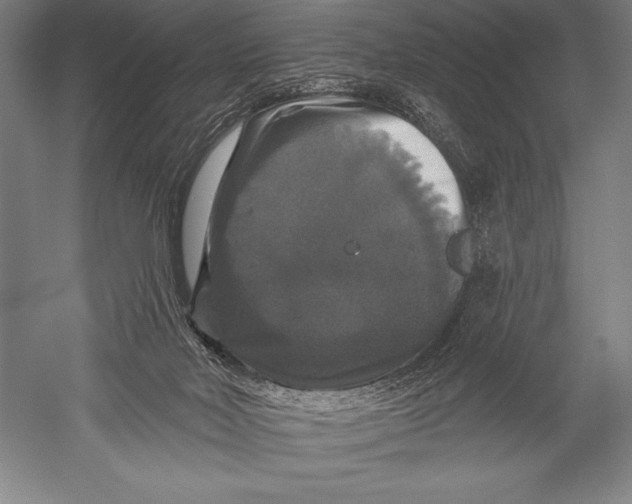 X0000051260026200507082229