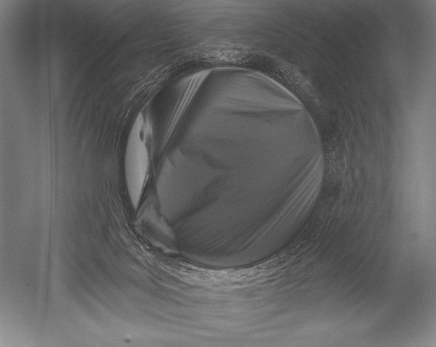 X0000051260027200507082229