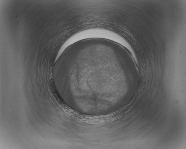 X0000051260029200507082229