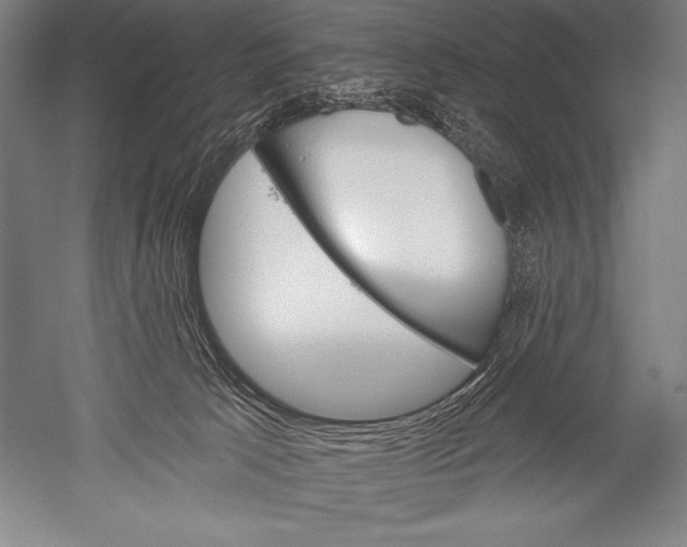 X0000051260033200507082228