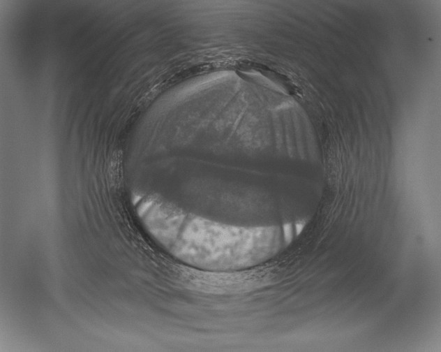X0000051260034200507082228
