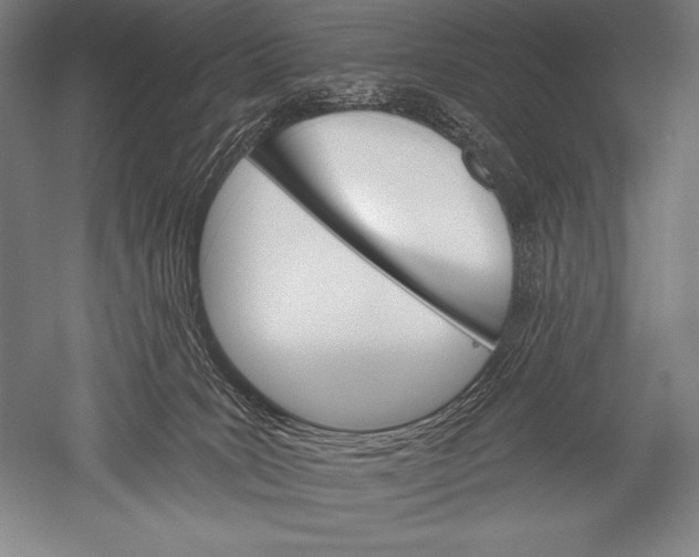 X0000051260035200507082228