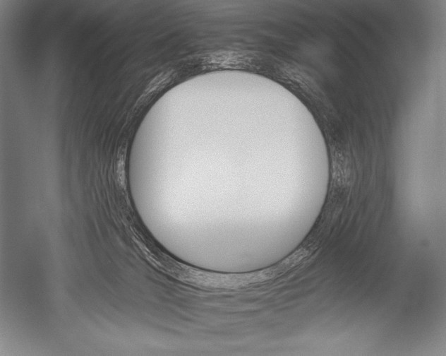 X0000051260036200507082228