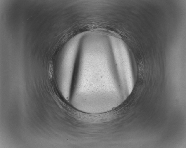 X0000051260038200507082228