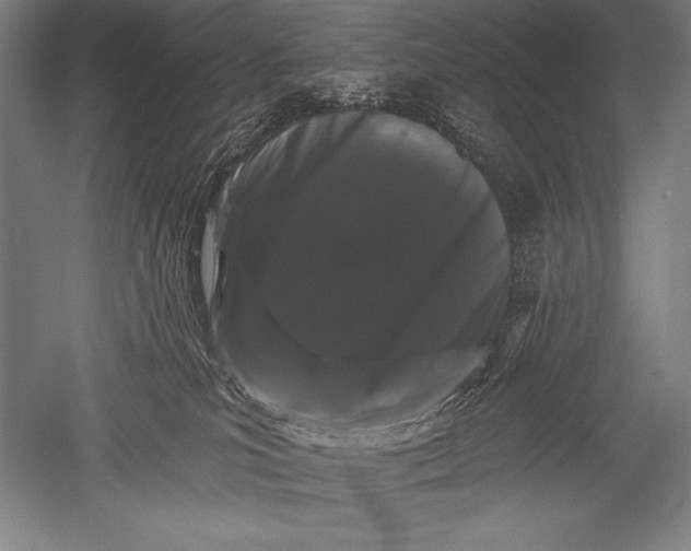 X0000051260039200507082228
