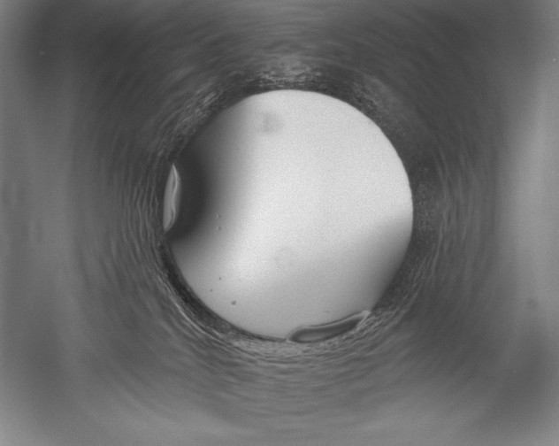 X0000051260040200507082228
