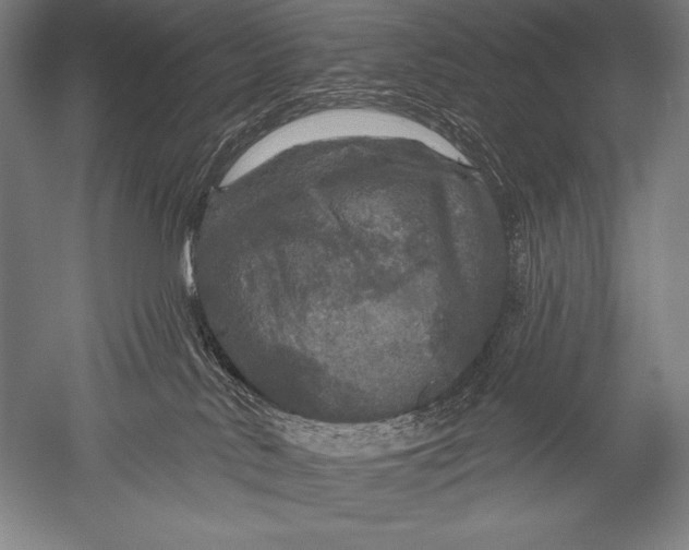 X0000051260042200507082228