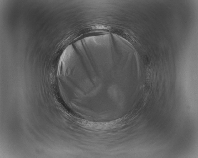 X0000051260043200507082228