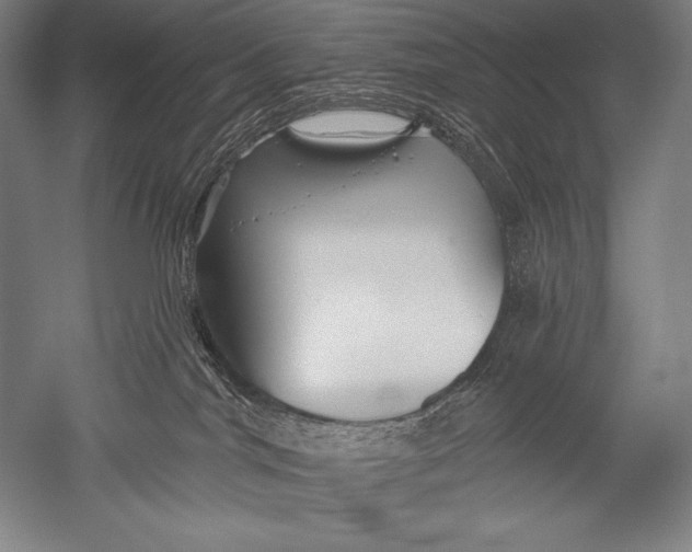 X0000051260044200507082228
