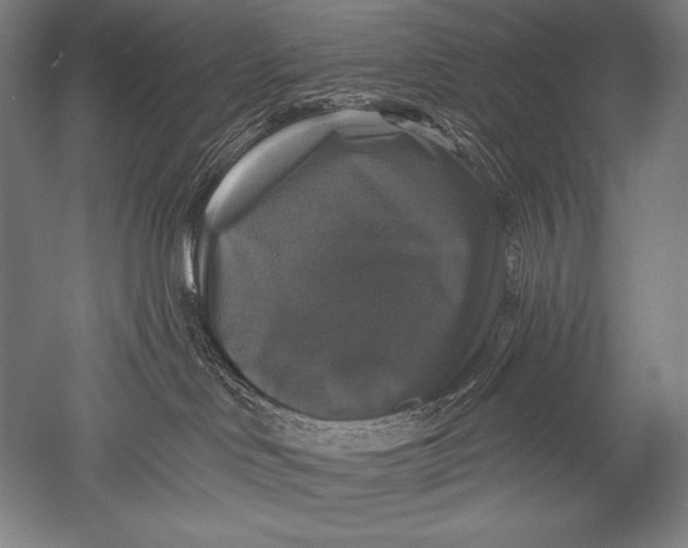 X0000051260046200507082228