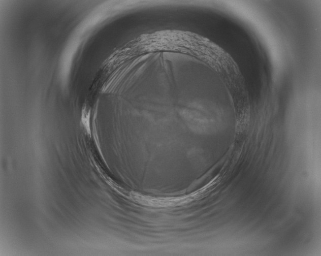 X0000051260047200507082228