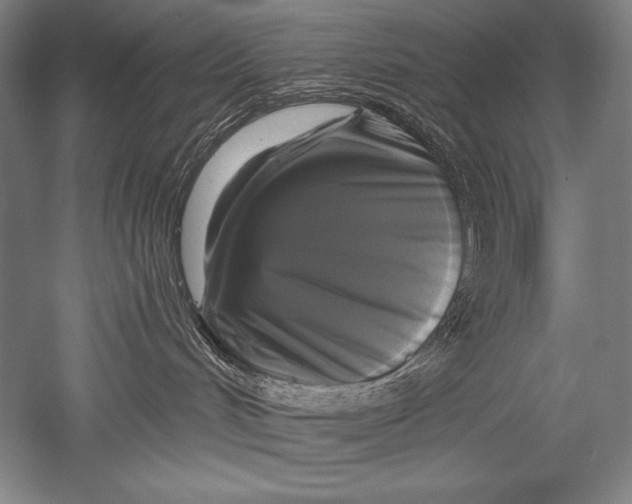 X0000051260048200507082228