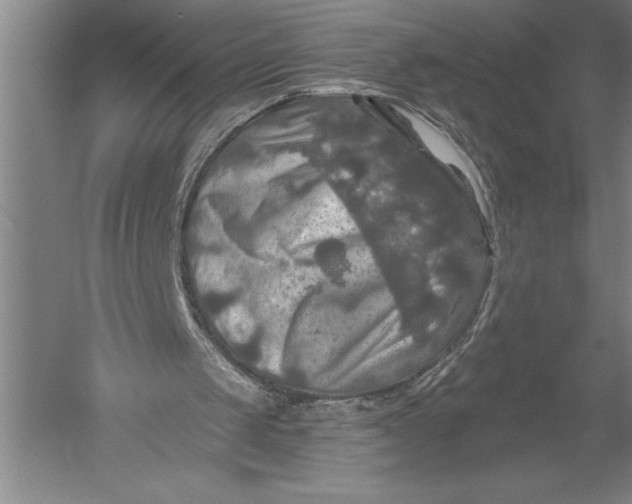 X0000051260049200507082227